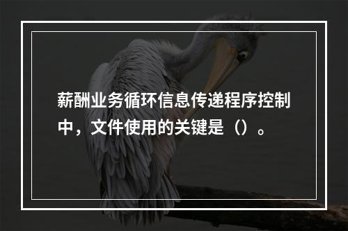 薪酬业务循环信息传递程序控制中，文件使用的关键是（）。