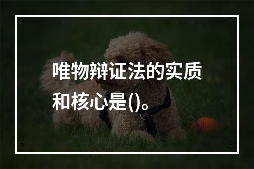 唯物辩证法的实质和核心是()。