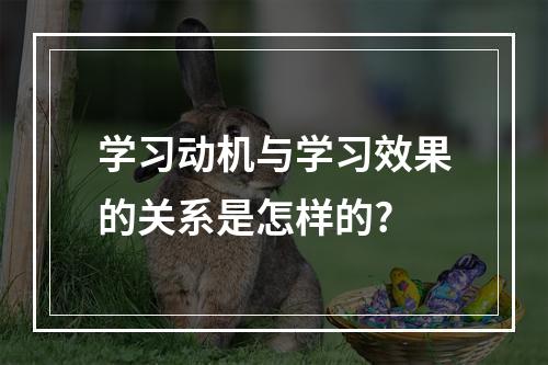 学习动机与学习效果的关系是怎样的?