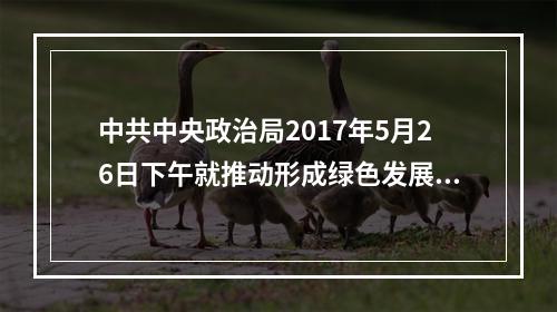 中共中央政治局2017年5月26日下午就推动形成绿色发展方式