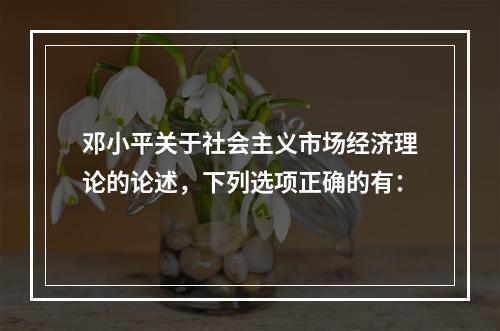 邓小平关于社会主义市场经济理论的论述，下列选项正确的有：