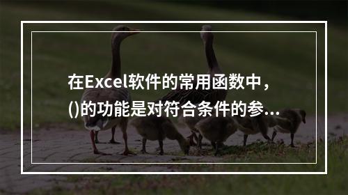 在Excel软件的常用函数中，()的功能是对符合条件的参数求