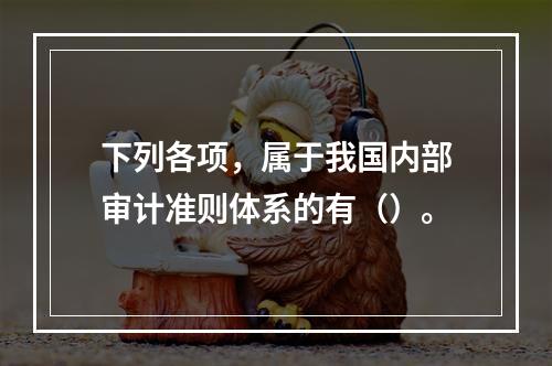 下列各项，属于我国内部审计准则体系的有（）。