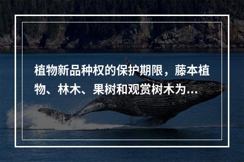 植物新品种权的保护期限，藤本植物、林木、果树和观赏树木为20