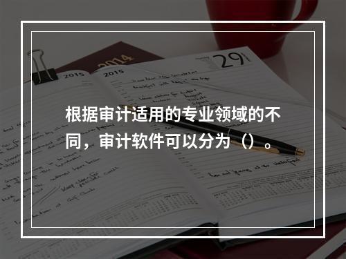 根据审计适用的专业领域的不同，审计软件可以分为（）。