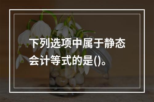 下列选项中属于静态会计等式的是()。