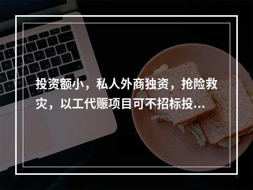 投资额小，私人外商独资，抢险救灾，以工代赈项目可不招标投标。