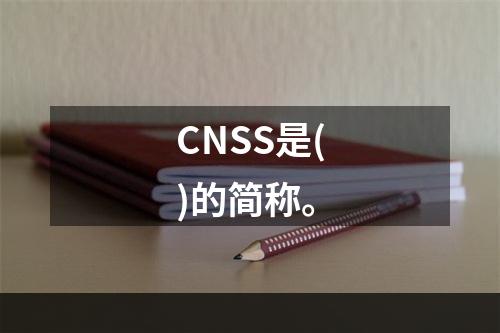 CNSS是()的简称。