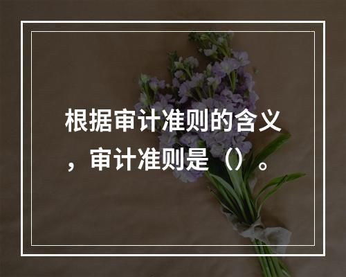 根据审计准则的含义，审计准则是（）。