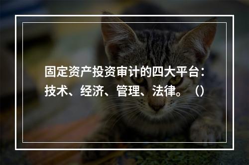 固定资产投资审计的四大平台：技术、经济、管理、法律。（）