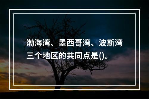 渤海湾、墨西哥湾、波斯湾三个地区的共同点是()。