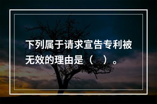 下列属于请求宣告专利被无效的理由是（　）。