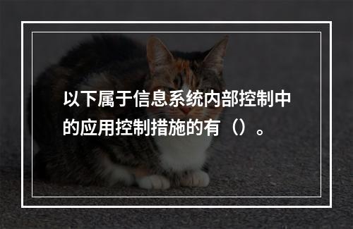 以下属于信息系统内部控制中的应用控制措施的有（）。