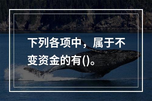 下列各项中，属于不变资金的有()。