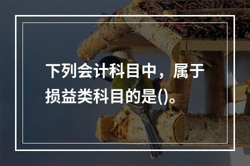 下列会计科目中，属于损益类科目的是()。