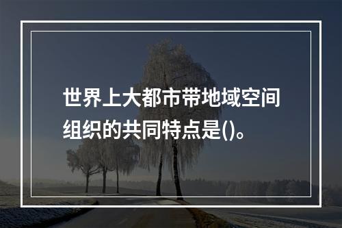 世界上大都市带地域空间组织的共同特点是()。