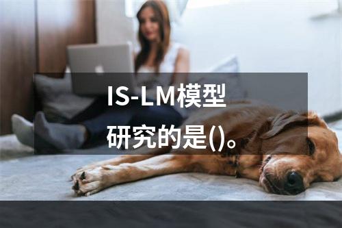 IS-LM模型研究的是()。