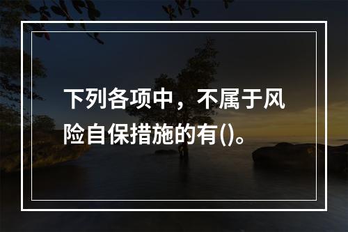 下列各项中，不属于风险自保措施的有()。