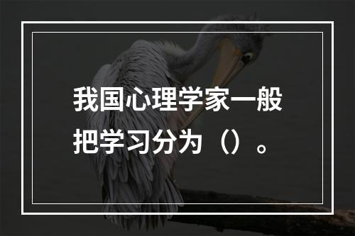 我国心理学家一般把学习分为（）。