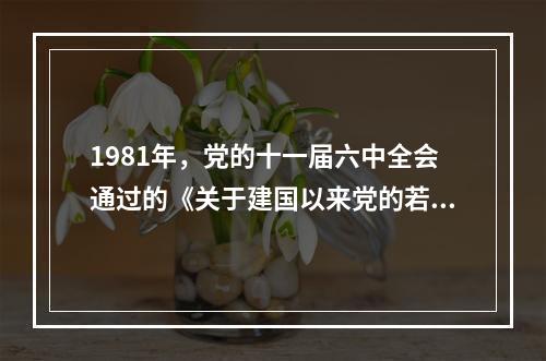 1981年，党的十一届六中全会通过的《关于建国以来党的若干历