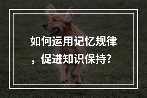 如何运用记忆规律，促进知识保持?