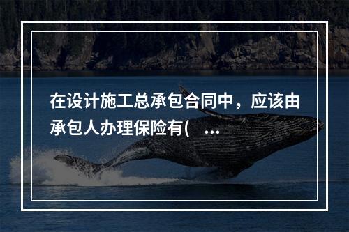 在设计施工总承包合同中，应该由承包人办理保险有(    )。