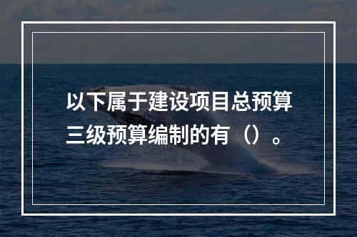 以下属于建设项目总预算三级预算编制的有（）。