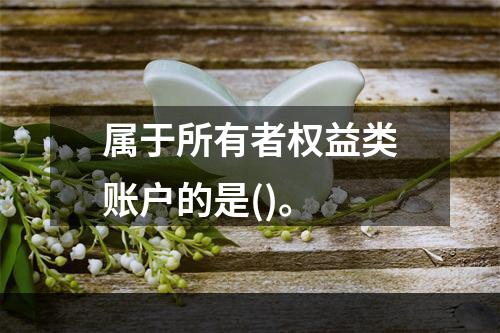 属于所有者权益类账户的是()。