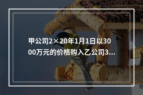 甲公司2×20年1月1日以3000万元的价格购入乙公司30％