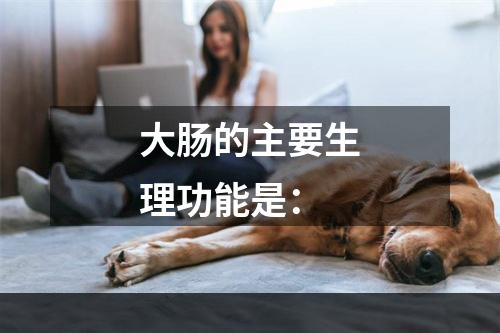 大肠的主要生理功能是：