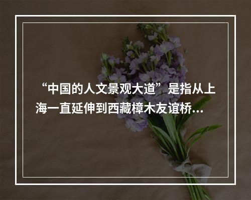 “中国的人文景观大道”是指从上海一直延伸到西藏樟木友谊桥的3