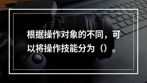 根据操作对象的不同，可以将操作技能分为（）。