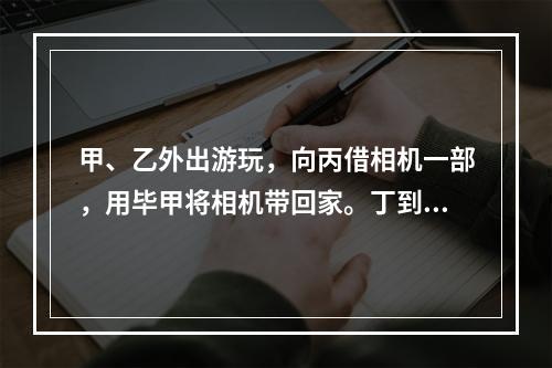 甲、乙外出游玩，向丙借相机一部，用毕甲将相机带回家。丁到甲家