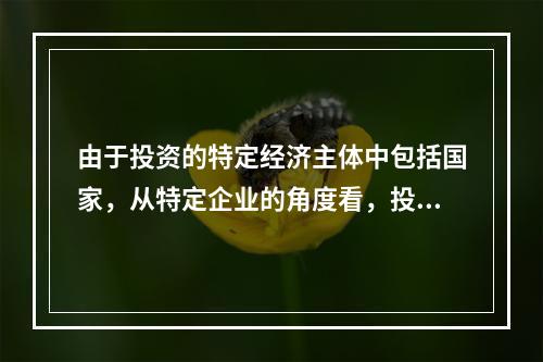 由于投资的特定经济主体中包括国家，从特定企业的角度看，投资不