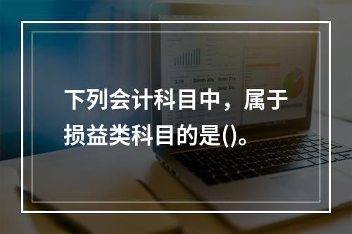 下列会计科目中，属于损益类科目的是()。