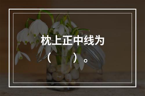 枕上正中线为（　　）。