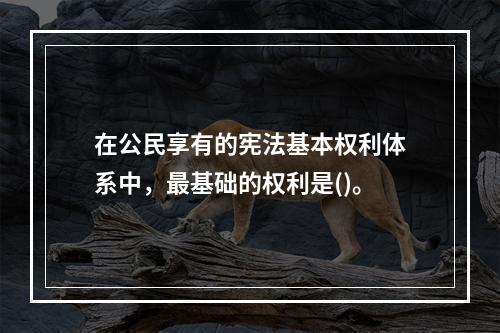 在公民享有的宪法基本权利体系中，最基础的权利是()。