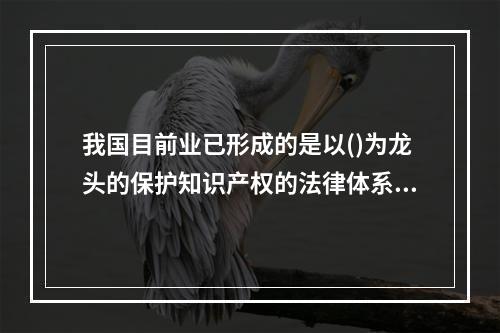 我国目前业已形成的是以()为龙头的保护知识产权的法律体系。