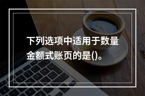 下列选项中适用于数量金额式账页的是()。