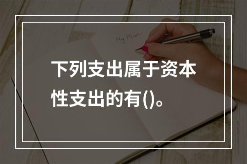 下列支出属于资本性支出的有()。