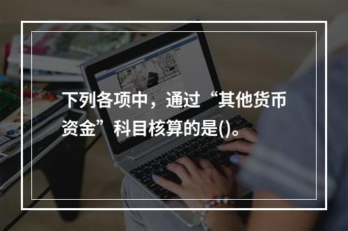 下列各项中，通过“其他货币资金”科目核算的是()。