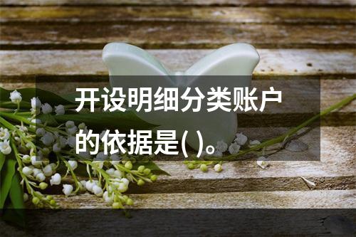 开设明细分类账户的依据是( )。