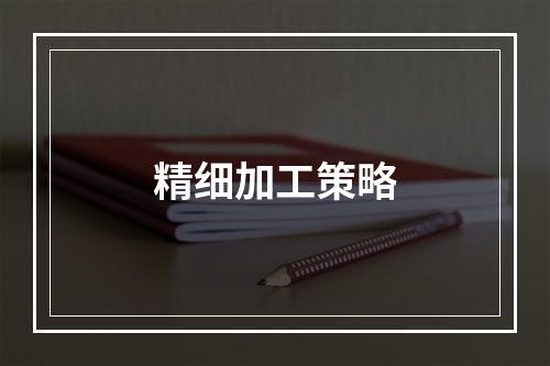 精细加工策略