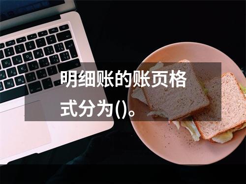 明细账的账页格式分为()。