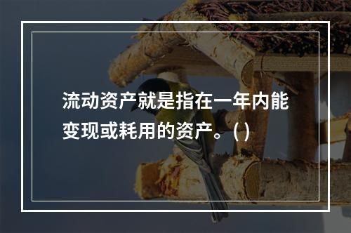 流动资产就是指在一年内能变现或耗用的资产。( )