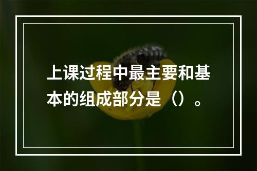 上课过程中最主要和基本的组成部分是（）。