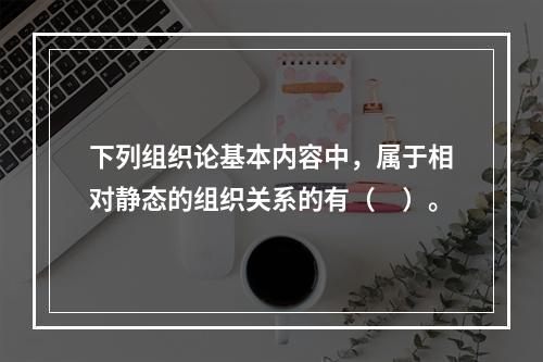 下列组织论基本内容中，属于相对静态的组织关系的有（　）。