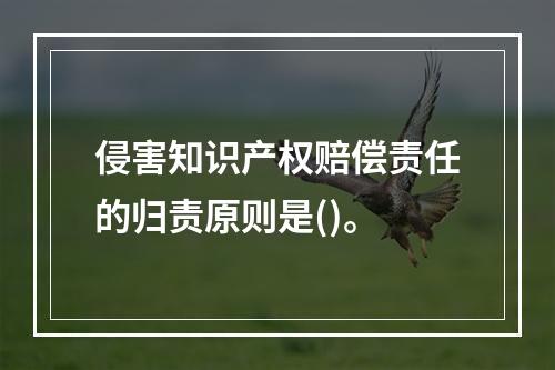 侵害知识产权赔偿责任的归责原则是()。