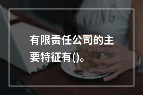 有限责任公司的主要特征有()。