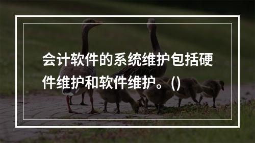 会计软件的系统维护包括硬件维护和软件维护。()